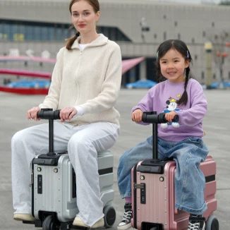 Electric Scooter Luggage Bag best