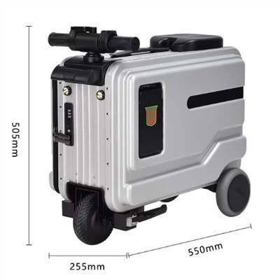 Electric Scooter Luggage Bag price